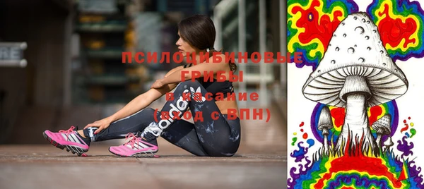 не бодяженный Алзамай