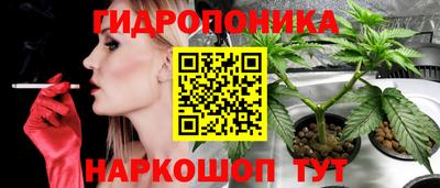 PSILOCYBIN Тара