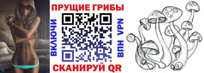 Псилоцибиновые грибы Psilocybine cubensis Тула