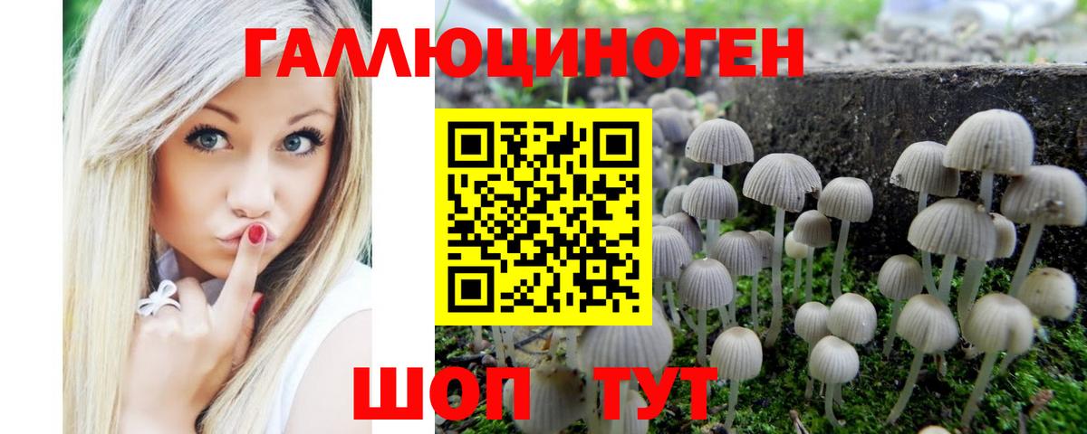 закладки  Псилоцибиновые грибы MAGIC MUSHROOMS  Вход с VPN  Тула  Галлюциногенные грибы Psilocybine cubensis 