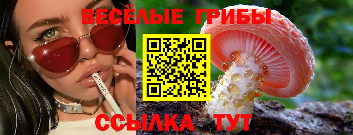 Метамфетамин  Тула  A PVP СОЛЬ   НБОМе  Вход с VPN  Бошки Шишки  Кетамин  МЕФ   КОКАИН  Гашиш 